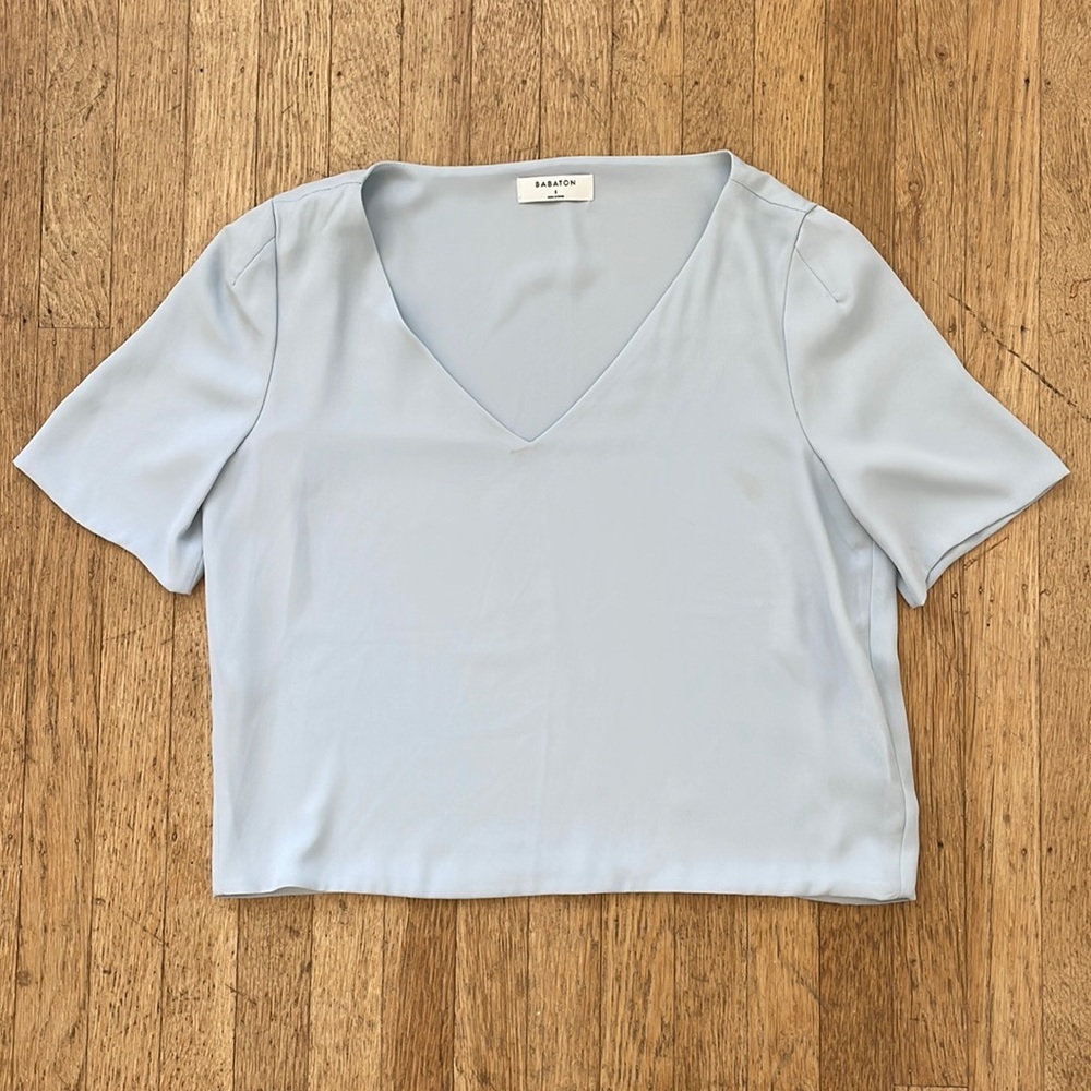 Babaton Aritzia top in light blue short sleeve